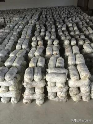 重庆钢管大棚哪个品牌好