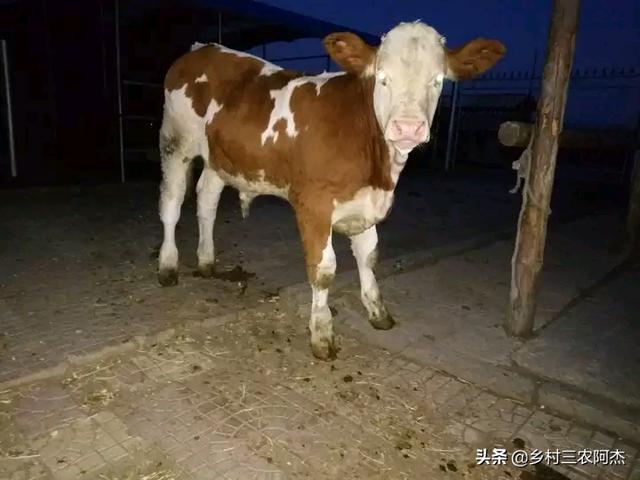 为什么吐口水会有血(为什么吐口水会有血用什么牙膏好)