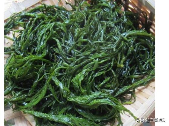 马尾藻怎么做好吃(图2)
