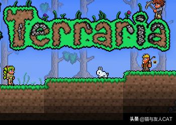 精金锭 精金锭代码