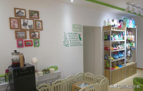 宠物店的经营范围有哪些,第3张