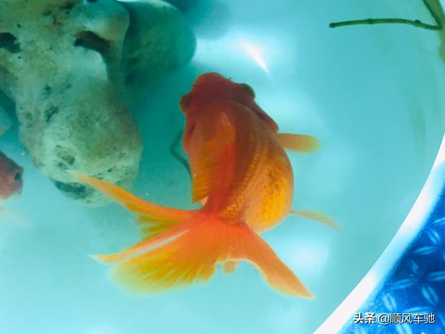 快速练好楷书字体