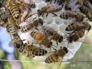 伊犁美饲料科技-伊犁美饲料科技公司招聘