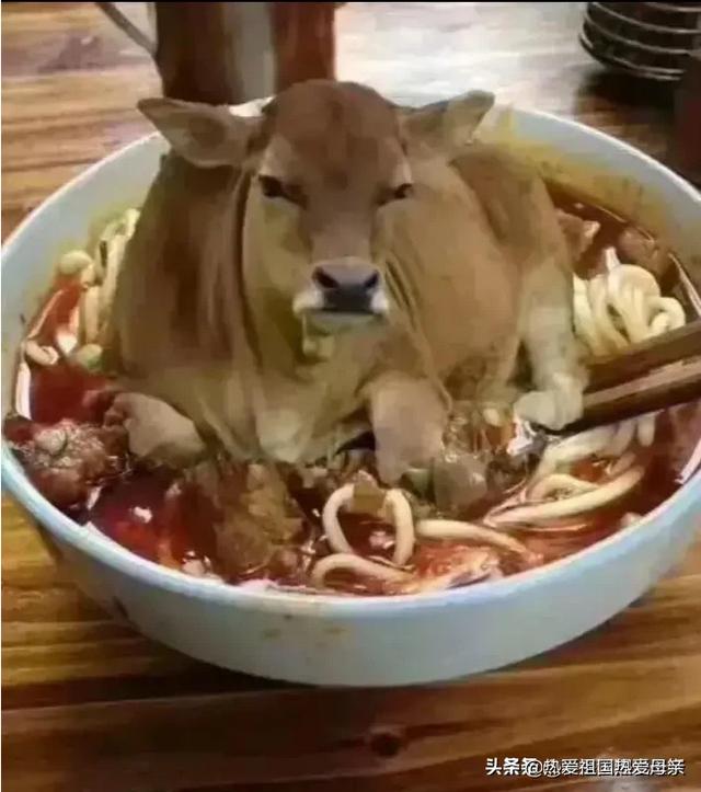 寻找小六原神寻找小六
