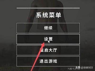 吃鸡怎么看屏幕颜色深浅(图3)