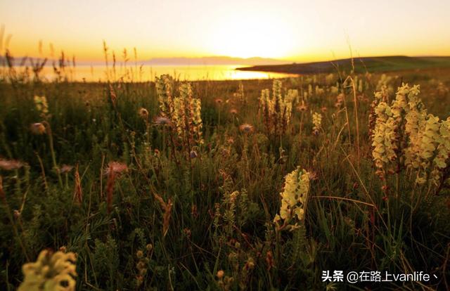 暑假旅游穿搭新疆美女， 暑假旅游穿搭新疆美女视频