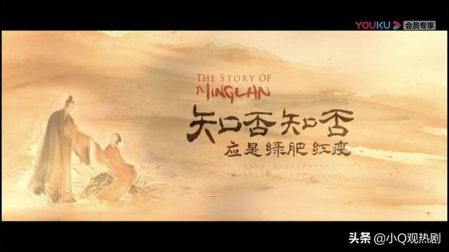 知否知否应是绿肥红瘦免费观看