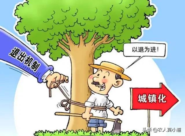 养殖户赚不到钱-养殖户赚不到钱怎么办