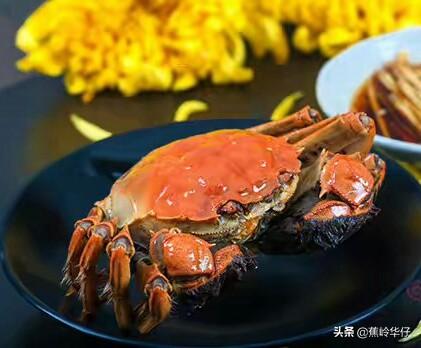 合肥市有什么特产吗