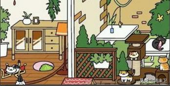 猫咪后院怎么吸引猫后院收集攻略,第11张