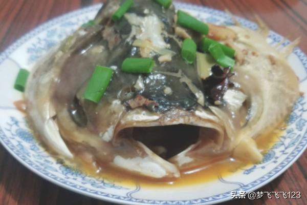 胖头鱼-胖头鱼图片