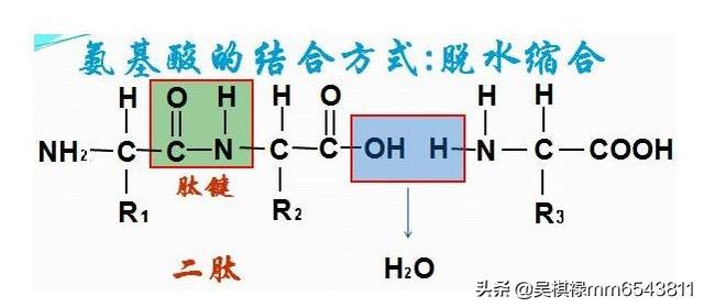 硬痘痘怎么消除挤不动(图5)