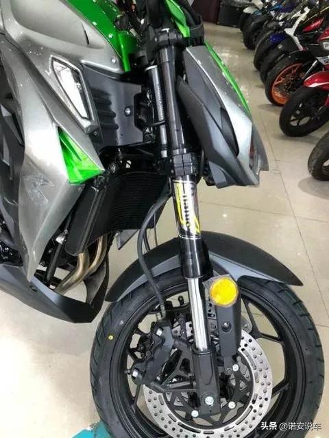 巨型蟒蛇汽车品牌介绍,巨型蟒蛇汽车品牌介绍图片