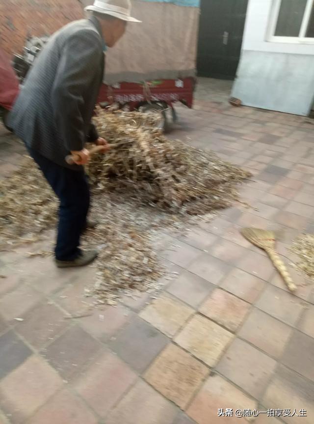 失去的纯真（长大就会失去曾经的纯真吗？）