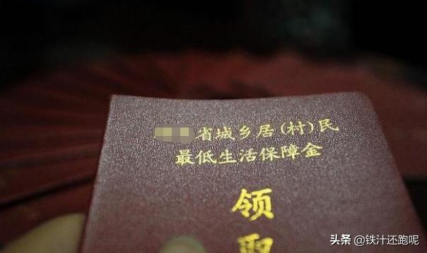 2017低保申请书的标准怎么写 低保申请书范文简短？