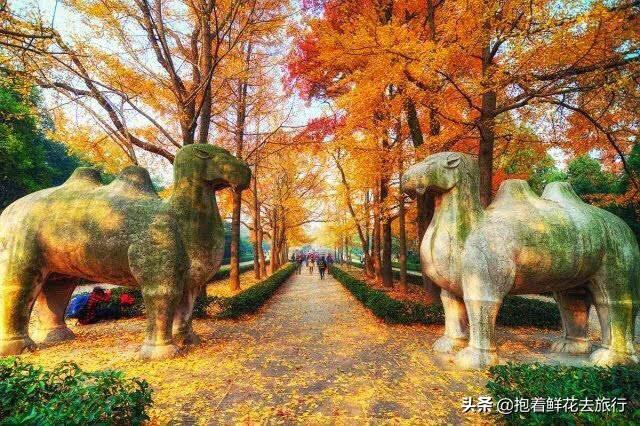 宝鸡秋天旅游景点大全， 宝鸡秋天旅游景点大全图片