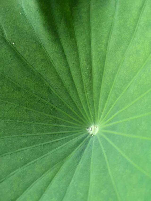 福建省美术生综合分450大概可以上什么学校？