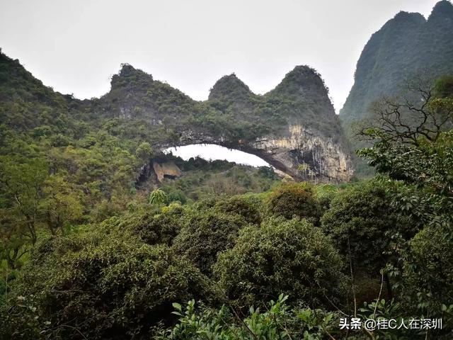 隐居海外生活，隐居海外生活怎么办