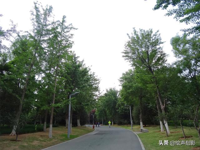 济南市里公园哪个好玩儿