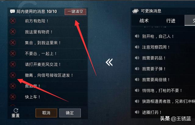 王者吃鸡聊天怎么设置(图5)