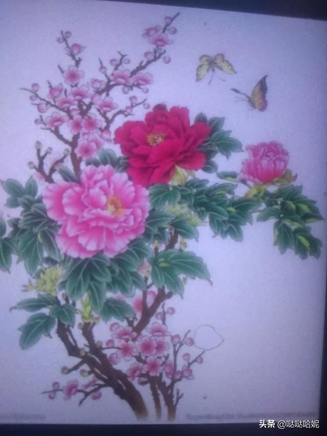 花卉盛开画?花朵盛开的画!