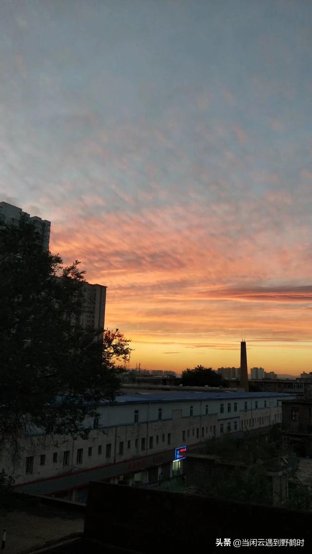 淡淡女人味淡淡女人味斗音他有多少岁