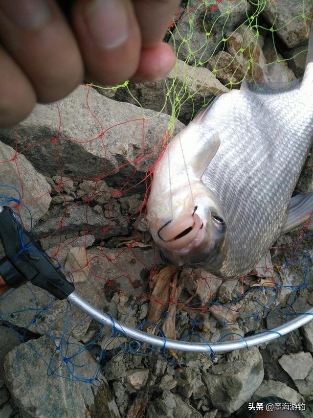 钓鱼如何抗水流?钓鱼怎样抗流水!