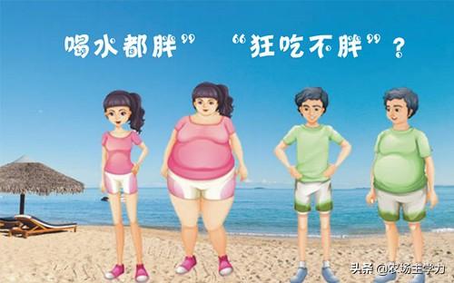 在农村怎么吃减肥产品(图13)