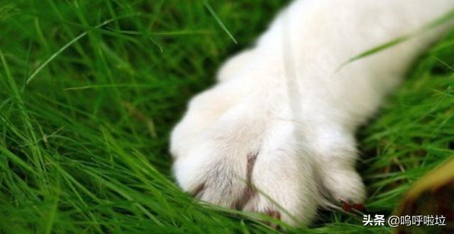 c0fcfc8cae6f4dcf8e863189ccf1fc83