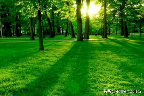 高情商的女人十大特点（高情商女人的五大标准）(图6)