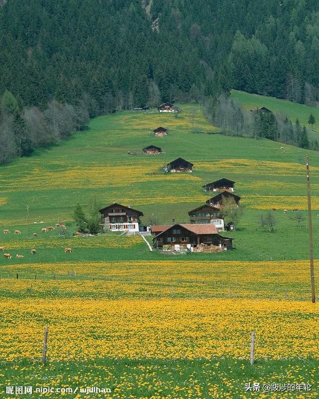 云南昆明市呈贡区摘橙子民宿电话号码,昆明周边橙子采摘