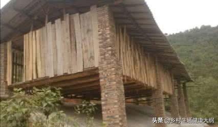 建个养殖大棚赚钱吗多少钱一个月 农村盖养殖大棚有补贴吗？