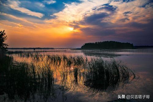 蚌埠龙子湖区旅游景点大全， 蚌埠龙子湖区旅游景点大全图片