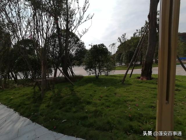 树木修剪合同 浇水怎么写-树木修剪合同 浇水怎么写范文