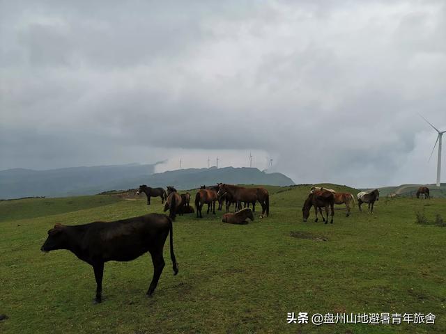 邵阳月牙泉旅游攻略路线， 邵阳月牙泉旅游攻略路线图