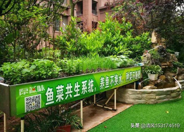 如何让水自动循环？：景观设计水资源循环