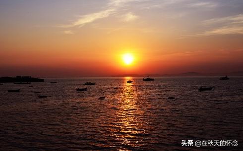 什么青青的(什么青青的四字)