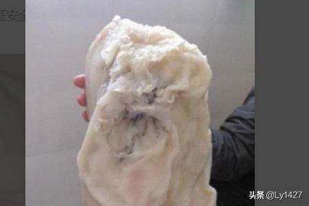 拜太岁有什么功效(图8)
