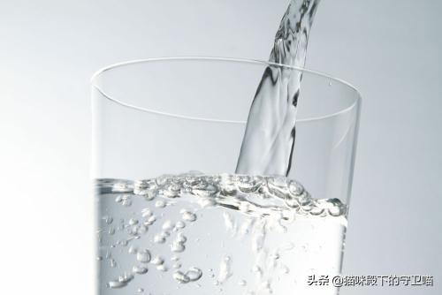 怎么训练宠物不挑食吃(图7)