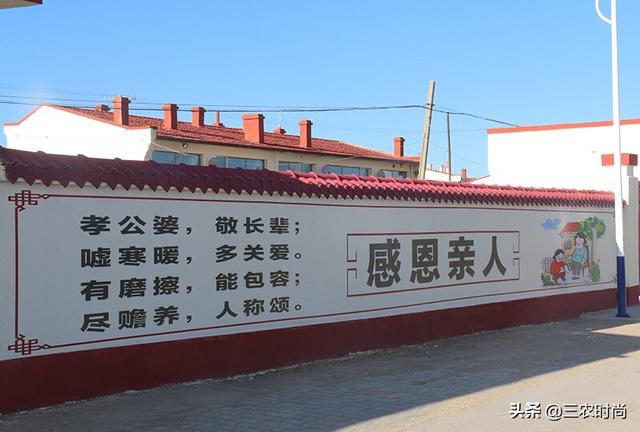 村书记好大（干村书记好吗）