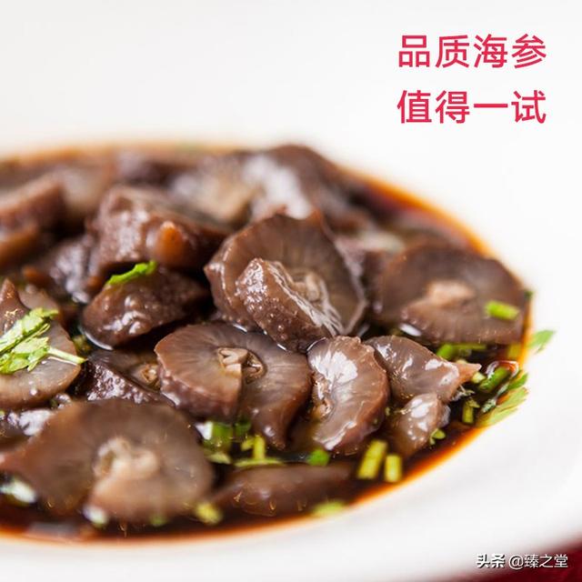 海参有什么特点和功效(图3)