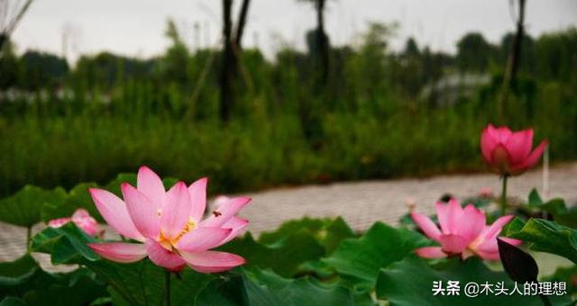 长沙桐木村景点门票价格， 长沙桐木村景点门票价格多少