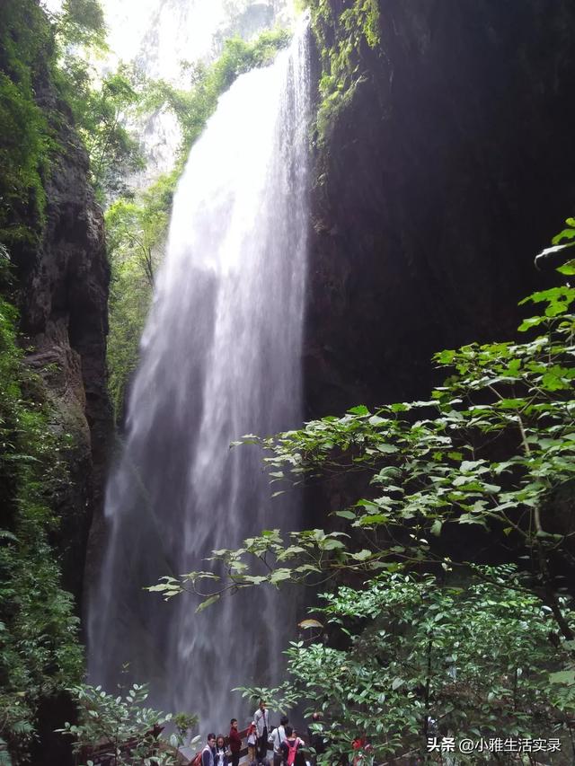 去重庆旅游大概多少钱,去重庆旅游大概多少钱一天