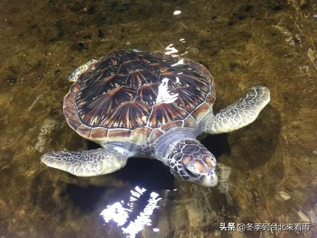 山西晋城免费旅游景点大全， 山西晋城免费旅游景点大全图片