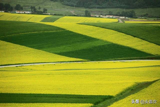 [心死了]一个心死的人，要怎样才能让心从新复活呢？
