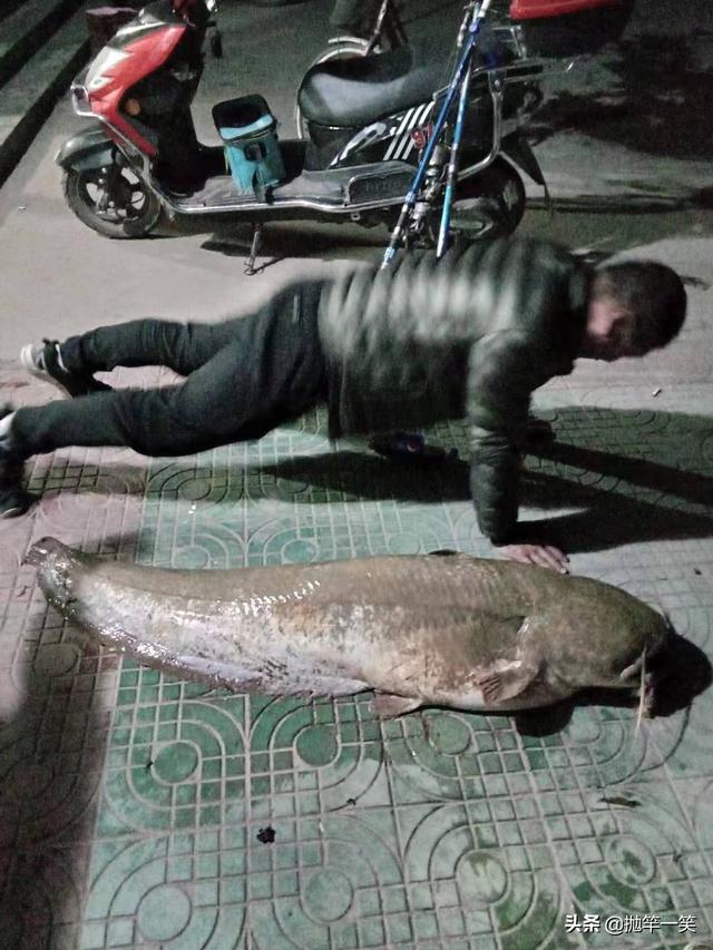 世界上最大的鲶鱼多少斤_最大的鲶鱼叫什么