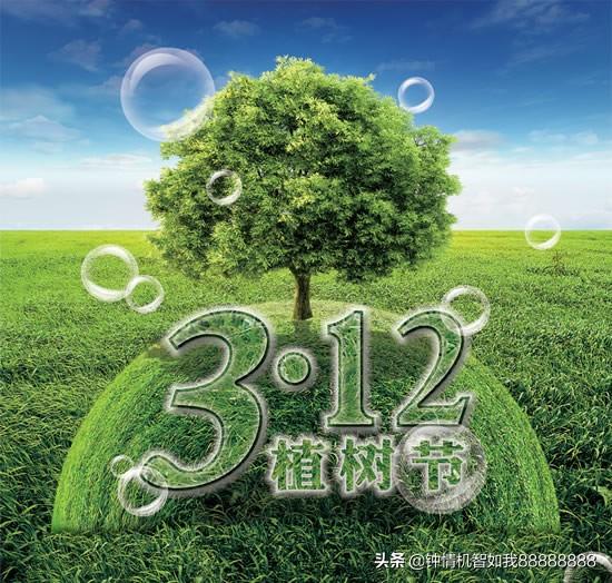 一年四季什么时候除草-一年四季什么时候除草最好