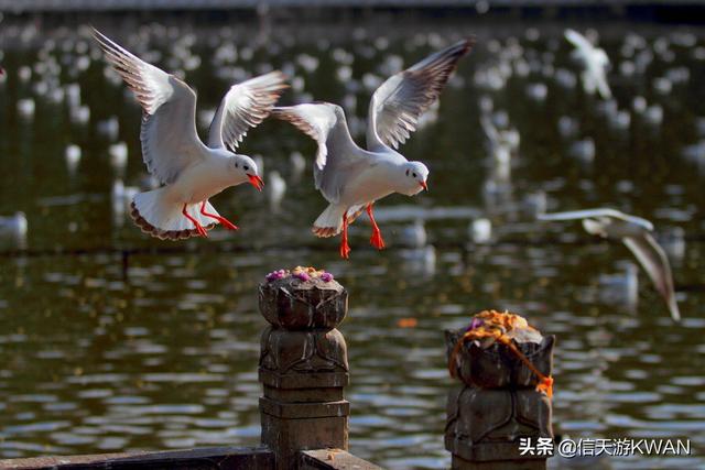 十二月份国内旅游,十二月份国内旅游排行榜