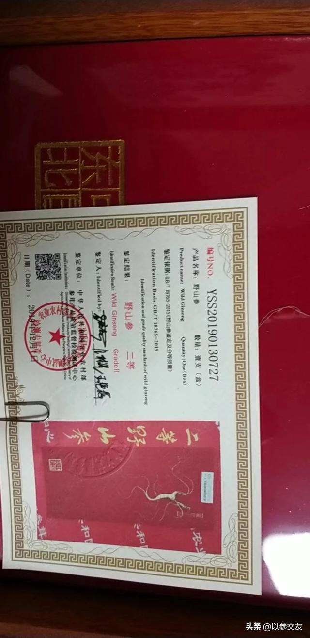 汽车报价野,汽车野马报价及图片