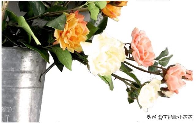 花瓶的花怎么养才不会那么快凋谢(花瓶技巧)